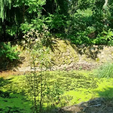 Villa U Stromu *